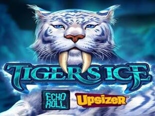 Tigers Ice